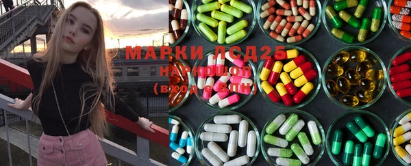 спиды Магас