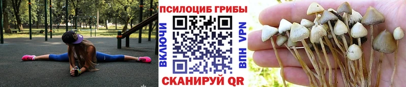 darknet состав  гидра маркетплейс  Лодейное Поле  как найти наркотики  Галлюциногенные грибы ЛСД 